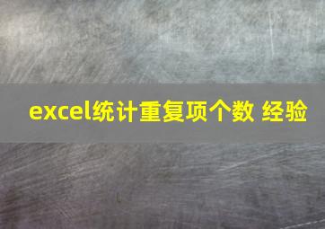 excel统计重复项个数 经验